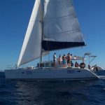 Führerscheinfreies Boot mieten Mallorca. rent a boat without licence, boot mieten ohne Führerschein in Port Andratx Mallorca, Charter boat without licence, Rib charter Mallorca