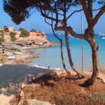 Charter Boote Yachten mieten Mallorca balearblue