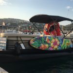 Ausflugsboot Port Andratx