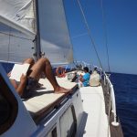 Katamaran Segeltörn Mallorca