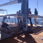 Katamaran Charter Mallorca Segeltörn Charter Mallorca Segelspass Mallorca Daycharter Tagestörn Tagescharter Bootsausflug Event Incentive Mallorca Betriebsausflug, Katamaran Charter Mallorca Segeltörn Charter Mallorca Segelspass Mallorca Daycharter Tagestörn Tagescharter Bootsausflug Event Incentive Mallorca Betriebsausflug